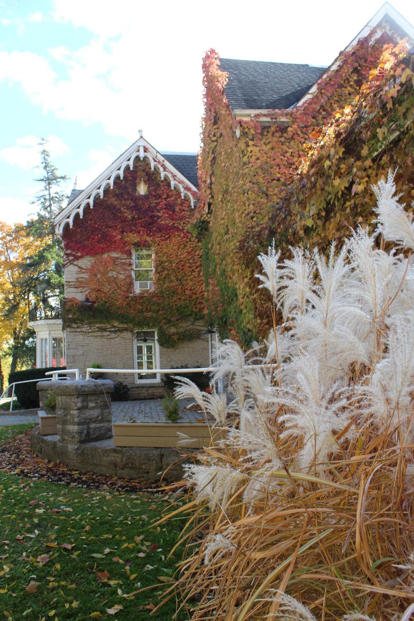 Westover Inn Saint Marys Exterior foto